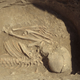 Illustration for article titled This Neolithic Graveyard May Solve Mystery of How Ancient Europe Started Farming